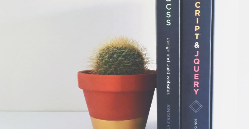 サボテンの画像